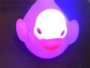 Color changing led duck(ZY-004)